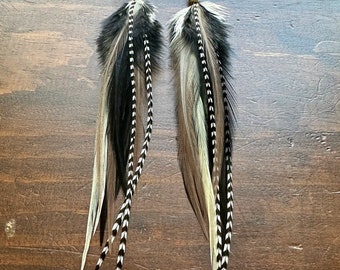 Black Feather Earrings - Long Rooster Feather Earrings - Cream White Taupe and Black - Witchy Dark Striped Feather Earrings (Ready to Ship)