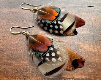 Natural Pheasant Feather Earrings - Short Gold Brown Green Black and White Feather Earrings - Real Undyed Feather Earrings