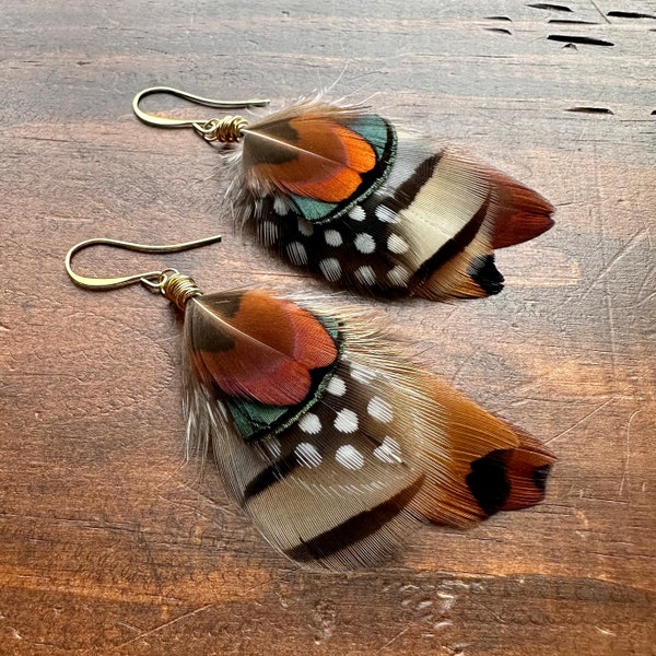 Natural Pheasant Feather Earrings - Short Gold Brown Green Black and White Feather Earrings - Real Undyed Feather Earrings