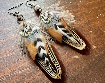 Pheasant Feather Earrings - Brown Blue Black Cream White - Short Feather Earrings - Real Undyed Feather Earrings (Ready to Ship)