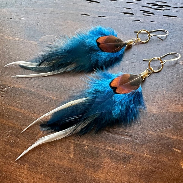 Blue Feather Earrings - Blue White and Brown Rooster Feather Earrings - Blue and Gold - Real Rooster Feather Earrings (Ready to Ship)