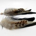 see more listings in the Feather Earrings section