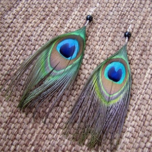 Peacock Feather Earrings - Simple Feather Earrings - Peacock Feather Jewelry - Real Undyed Peacock Feather Earrings