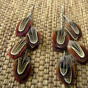 Pheasant Feather Earrings - Natural Brown and Black Feather Earrings - Real Undyed Pheasant Feather Earrings - Boho Western Style