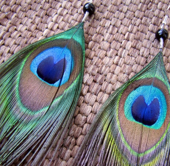 Small peacock feather earrings clearance