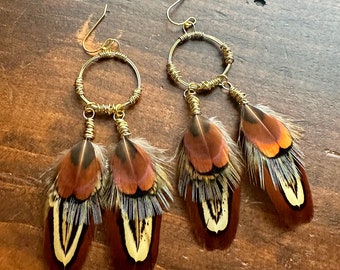 Pheasant Feather Earrings - Brass Hoop Earrings - Brown and Blue Pheasant Feather Earrings - Brass Hoops with Feathers (Ready to Ship)