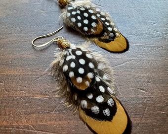 Short Feather Earrings - Pheasant and Guinea Hen Feathers - Real Undyed Feather Earrings - Gold Black and White Polka Dot (Ready to Ship)