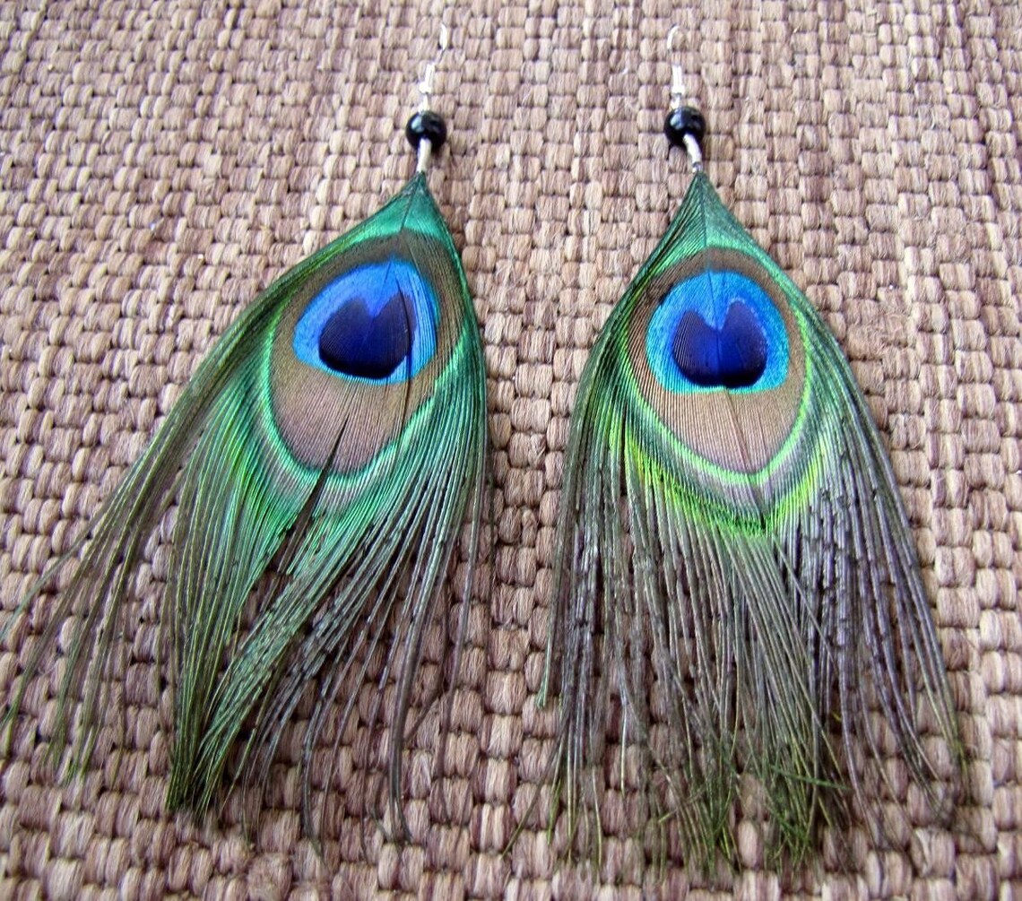 Peacock Feather Earrings