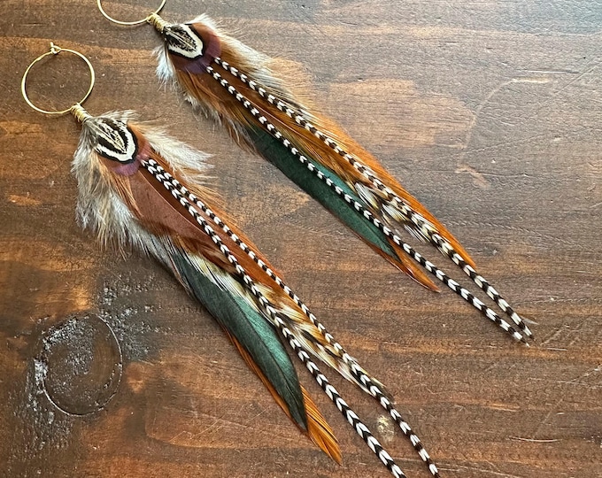 Real Feather Earrings - Black and Brown Feather Earrings on 25mm Hoops - Rooster & Pheasant Feather Earrings - Boho Hippie