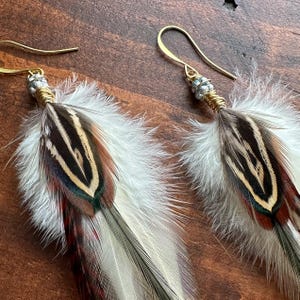 May include: A pair of feather earrings with gold wire wrapped around the top and silver beads. The feathers are white with brown and black stripes and red accents.