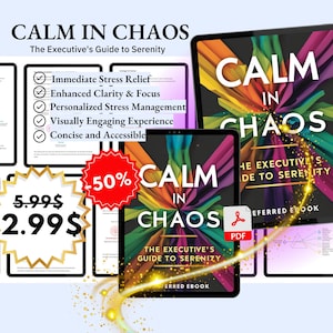 Calm in Chaos: The Executive&#39;s Guide to Serenity eBook
