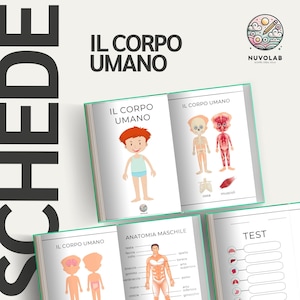 Fichas didácticas sobre la anatomía del cuerpo humano.