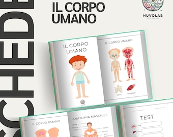 Schede Didattiche sull’Anatomia del Corpo Umano