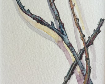 Idyllwild Still Life No. 8
