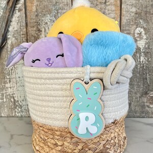 May include: A white and brown rope basket filled with three plush toys: a purple bunny, a yellow chick, and a blue fuzzy toy. A green and white bunny-shaped wooden tag with the letter "R" is attached to the basket.