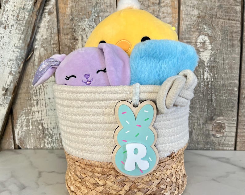 May include: A white and brown rope basket filled with three plush toys: a purple bunny, a yellow chick, and a blue fuzzy toy. A green and white bunny-shaped wooden tag with the letter "R" is attached to the basket.