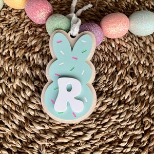 May include: A light blue bunny-shaped wooden ornament with white sprinkles and the letter "R" in the centre. The ornament is hanging from a string of pastel-coloured Easter eggs.