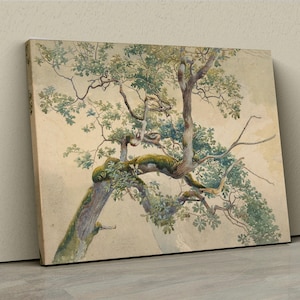 Trädstudie Canvastavla, Carl Reinhardt Vintage botanisk väggkonst, naturillustration, antik trädteckning, klassisk landskapsdekor