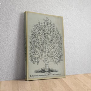 1878 Tree of Law Chart Diagram Canvas, Law Poster, Office Wall Decor, Law Tree Print, Lawyer Office Art, Attorney Gift, Vintage Law Wall Art