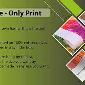 May include: A green, orange, and black graphic with the text "No Frame - Only Print". The text explains that the order is printed on 100% cotton canvas and shipped rolled in a cylinder box. The graphic also shows a rolled canvas print.