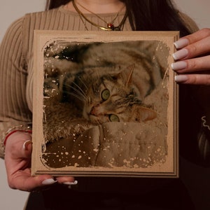 Custom Cat Memorial Gift, Pet Loss Gifts for Owner, Cat Memorial Frame, Cat Loss Gift, Cat Remembrance Print, Photo Memorial Canvas Wall Art