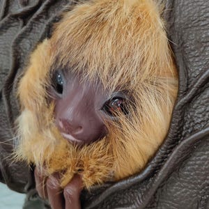 Könnte beinhalten: Nahaufnahme eines kleinen, braunen, pelzigen Tieres mit großen Augen. Das Tier liegt in einer braunen Ledertasche.
