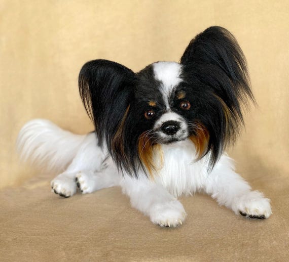 パピヨン犬の子犬のリアルなぬいぐるみ - Etsy 日本