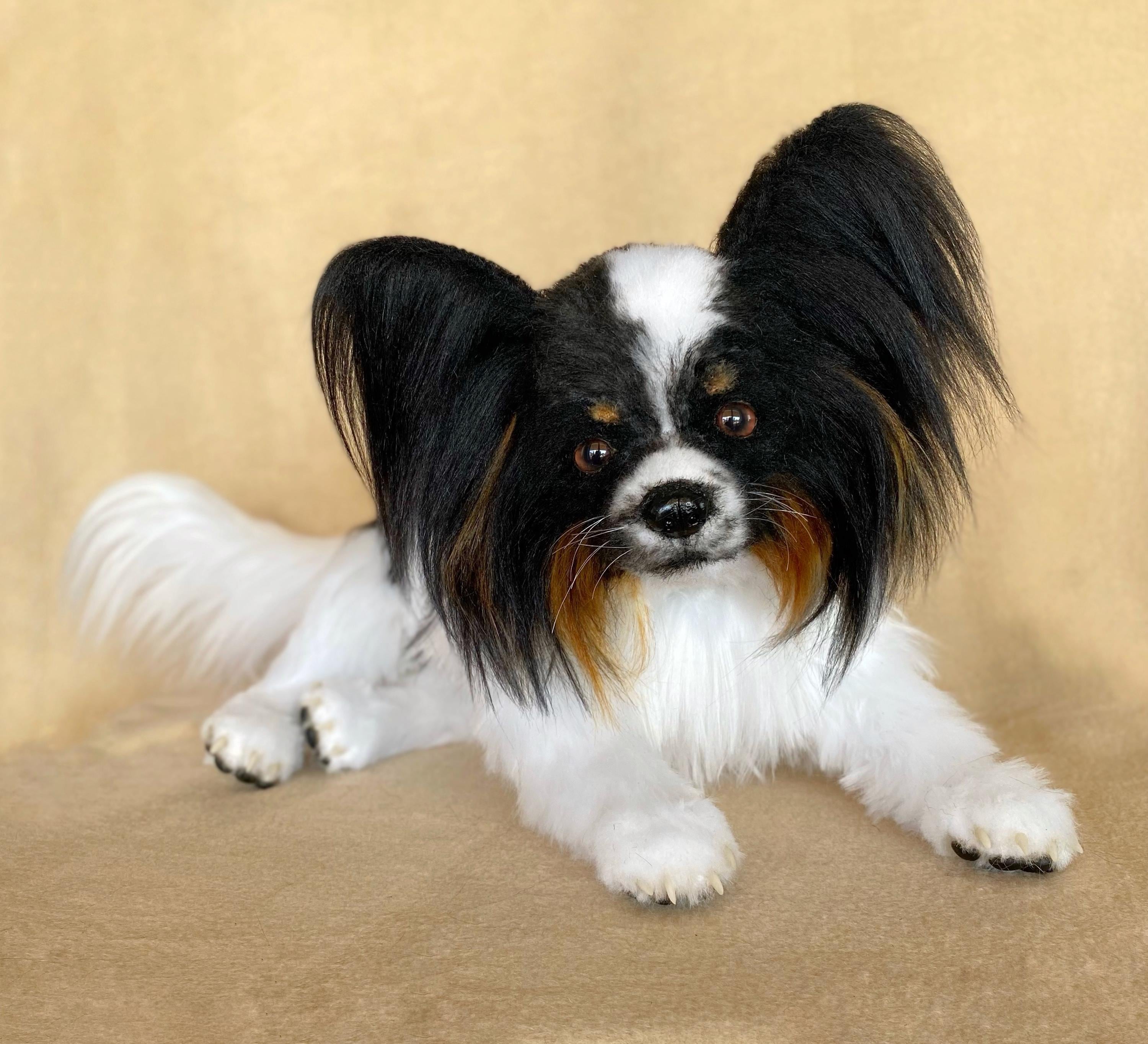 パピヨン犬の子犬のリアルなぬいぐるみ - Etsy 日本