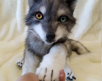 Op maat gemaakte realistische wolvenknuffel. Kunstpop dier. Posewolf. Wolf kunstpop. Realistisch wolfspluche.
