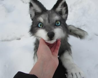 Custom realistic wolf plush.Art doll animal. Pose wolf. Wolf art doll. Wolf realistic plush.