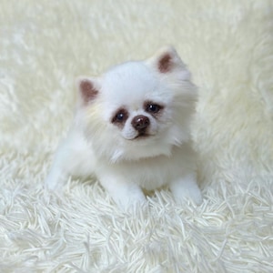 Chihuahua dog puppy realistic soft toy