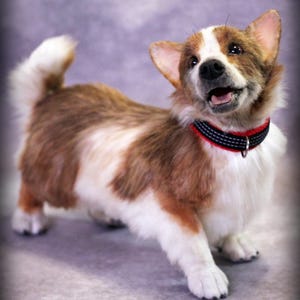 Corgi replica, Realistic plush, Pet portrait, OOAK toy