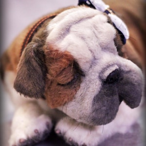 Bully, Plüschhund, Realistische Tiere, Haustier Replica, Tierportrait, Welpe, Unikat, Custom