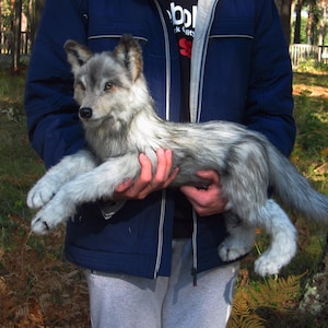Realistic plush wolf portrait plush collectible pet toys replica for Pets with photo realistic toys realistic stuffed animals CUSTOM