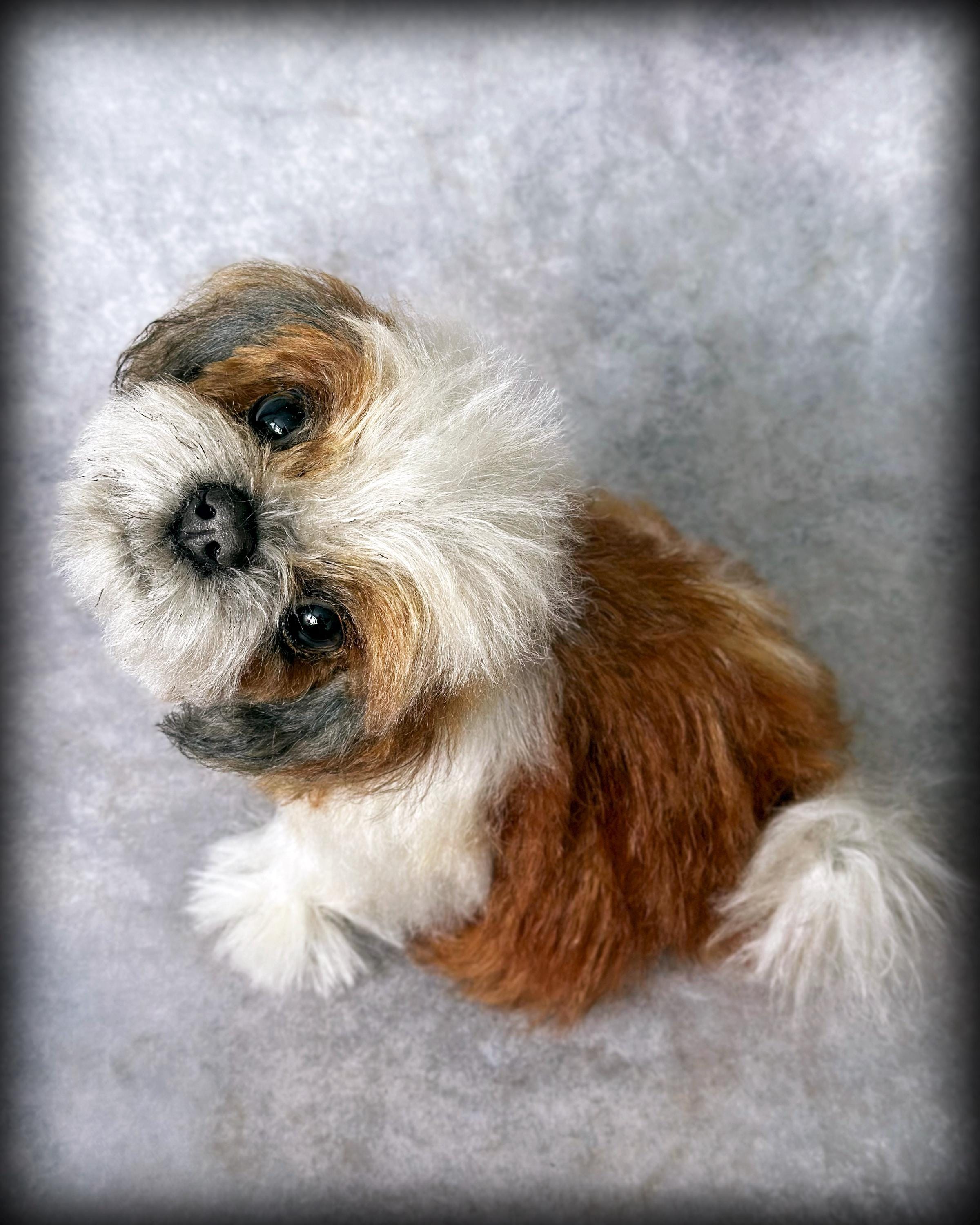 Shih tzu, Realistic Dog  replica, Plush  puppy,  Pet Portrait, Soft sculpture, OOAK