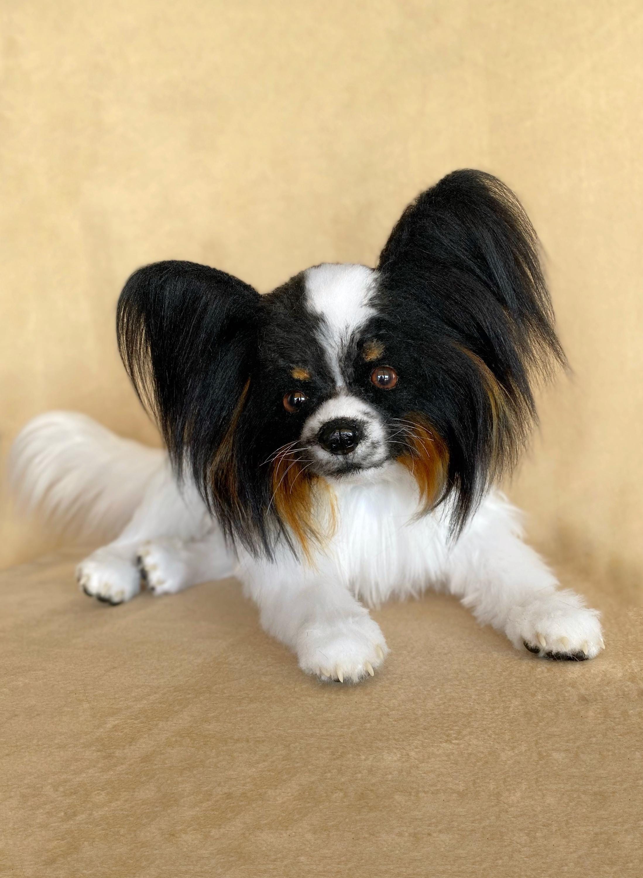 パピヨン犬の子犬のリアルなぬいぐるみ - Etsy 日本