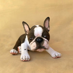 Hergestellt auf Bestellung realistische Boston Terrier