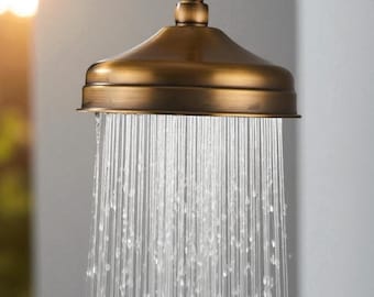 Antique Brass Outdoor Shower Head , Vintage Garden Wall Mount Shower Fixture