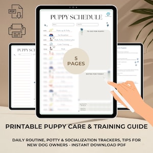 Guía de adiestramiento de cachorros: Rutina diaria y registro de socialización (PDF)