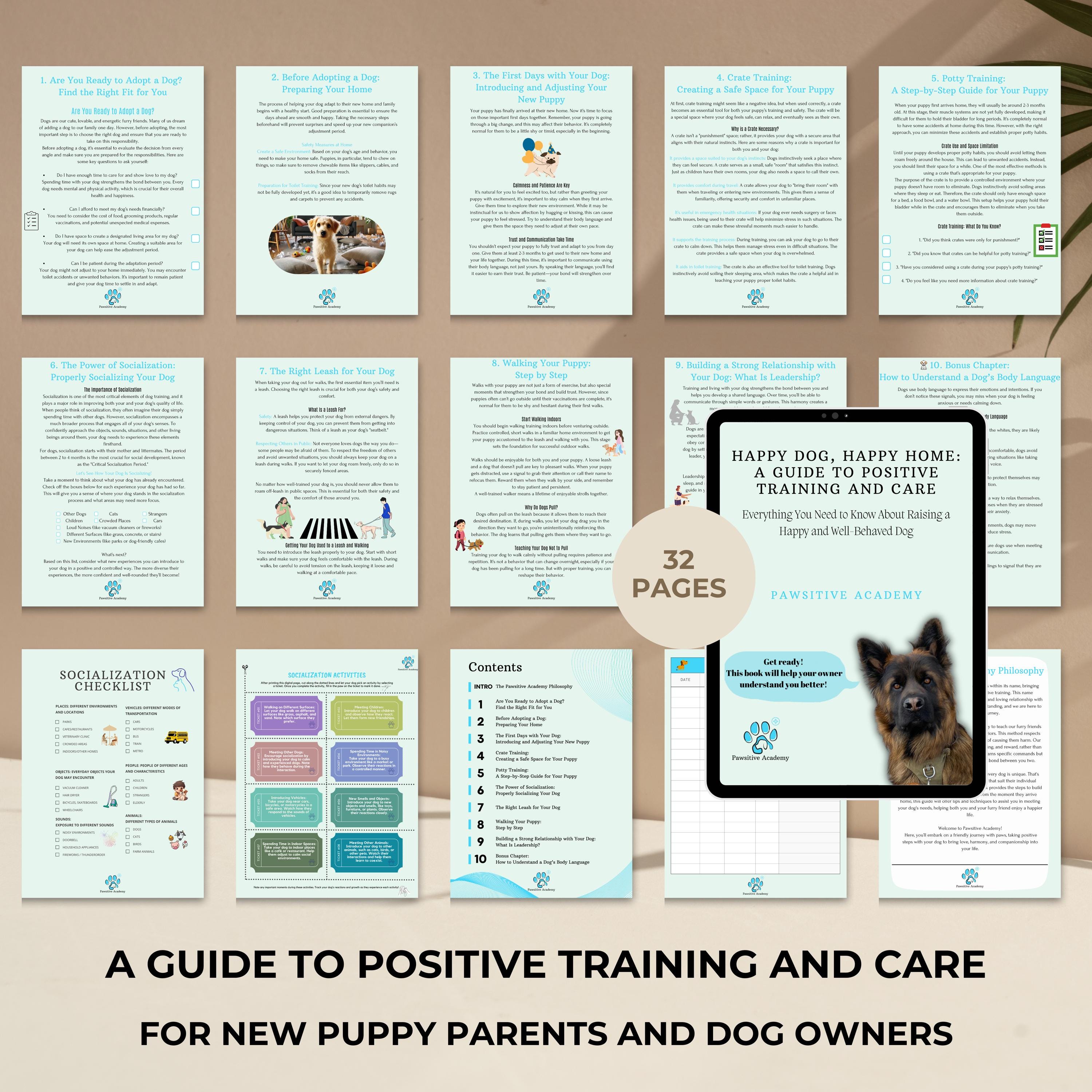 Older Dog How To Potty Train A Dog In A New Home Indoor Dog How To