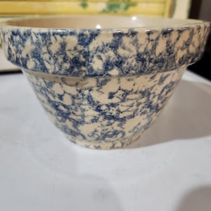 Vintage Robinson Ransbottom Sponge Ware Mixing Bowl 6 inches