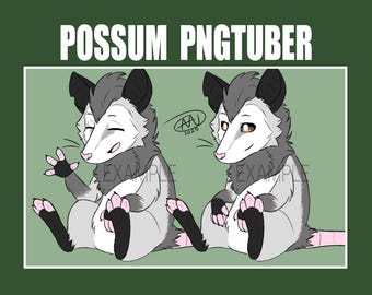 May include: A digital illustration of a possum with gray fur and a white face. The possum is sitting with its legs crossed and has a friendly expression. The possum is wearing a pink nose and has a pink tail. The image is set against a green background.