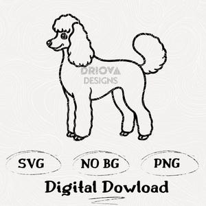 Poedel silhouet SVG, elegante hond zeer fijne tekeningen, poedel moeder cadeau, chique huisdier clipart png voor Cricut, minimalistisch hondenontwerp
