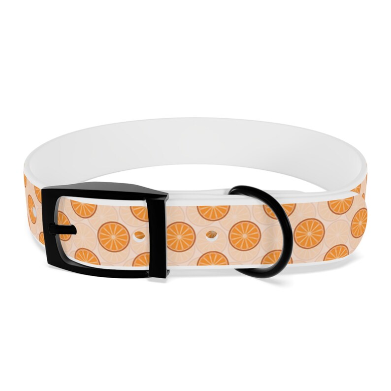 Tropical Citrus Breeze Dog Collar Choose Size and Buckle Finish image 5