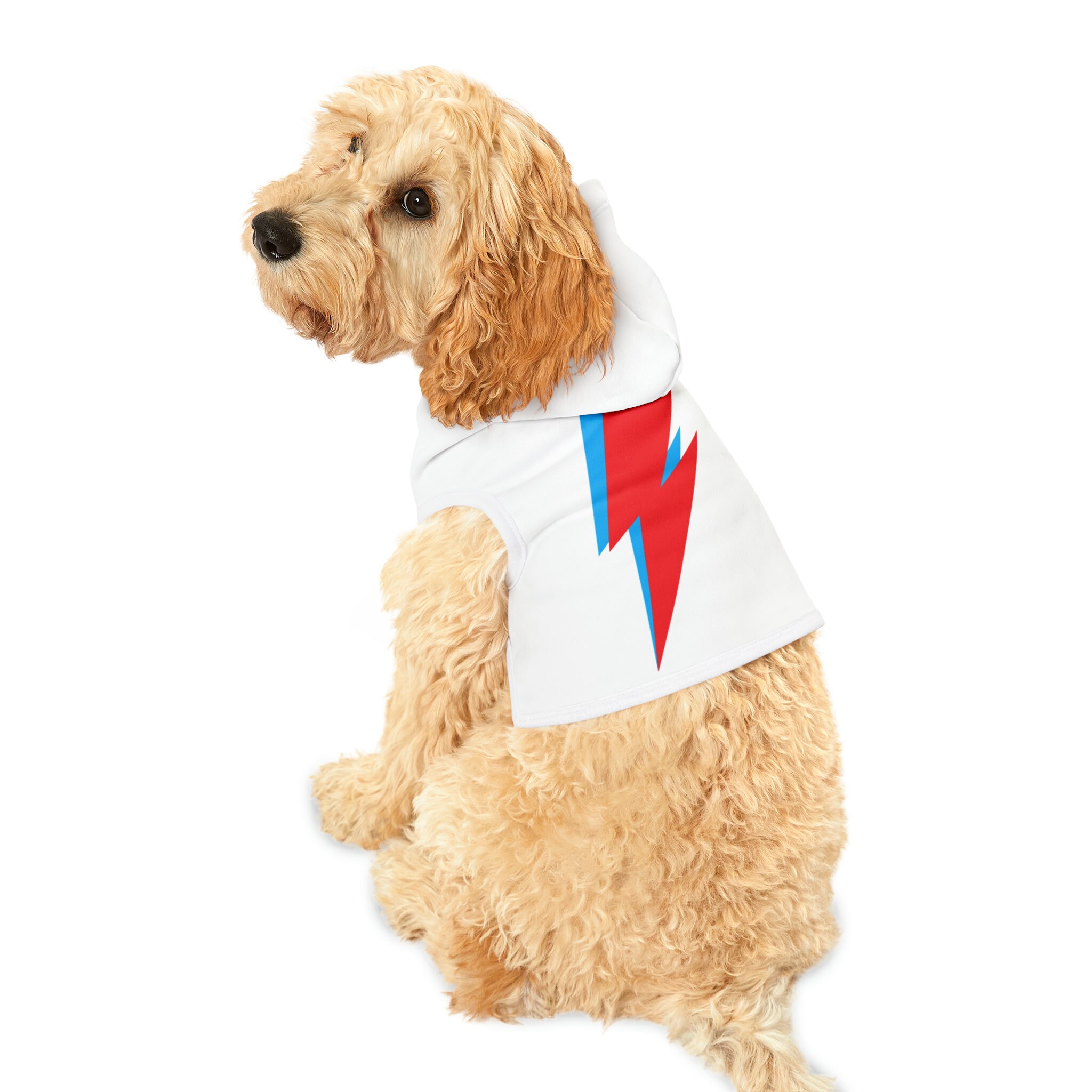 Bowie Ziggy Stardust Dog Hoodie xxs lrg Etsy