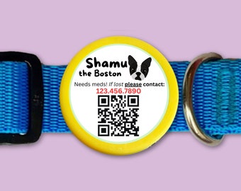 Scannable QR Code TWIST Tag- Silent, Eco-Friendly, Ringless ID Tag for Cats and Dogs- Powered by PetHub