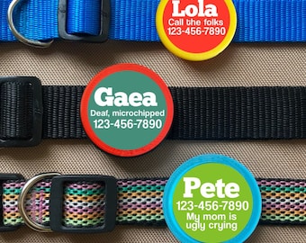 Eco-Friendly Twist Pet ID Tag – Silent, Ringless, Biodegradable