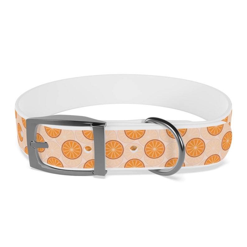 Tropical Citrus Breeze Dog Collar Choose Size and Buckle Finish image 6