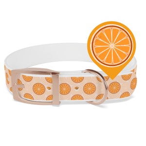 Tropical Citrus Breeze Dog Collar Choose Size and Buckle Finish image 1