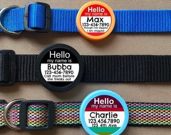 Eco-Friendly Twist Pet ID Tag – Silent, Customizable, Glow in the Dark Option